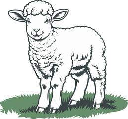 A vector illustration of a fluffy lamb standing happily on a green field, black and white sheep