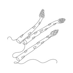 Asparagus drawn in continuous line in minimalism, delicatessen plant, stems of herbs and semi-shrubs, one line, editable vector contour