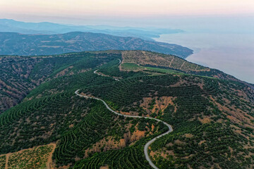 Aerial photography of a typical Mediterranean landscape with vineyards and a road to the sea. High quality photo