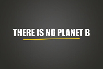 There is no Planet B. A blackboard with white text. Illustration with grunge text style.
