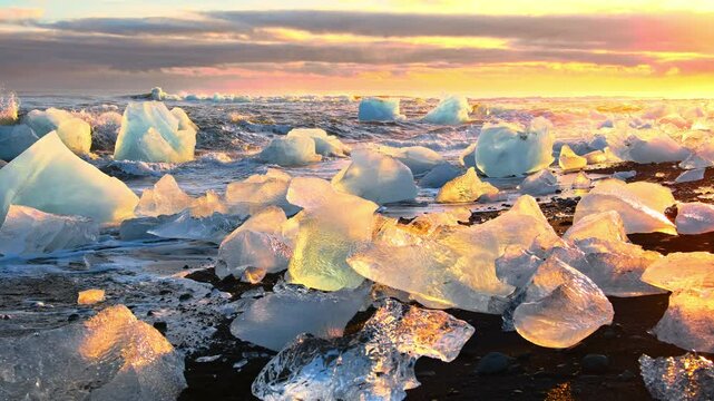 Icebergs shining during golden hour. Sunrise on Diamond Beach in Iceland. Pure ice crashed by Ocean waves. 