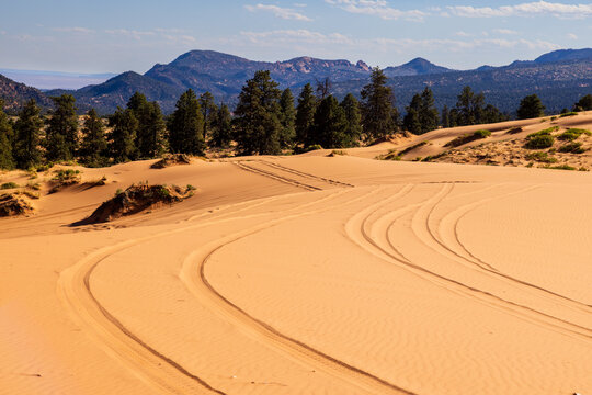 OHV tire tracks stretch off into the distance at Coral Pink Sand Dunes state park in southern Utah.
