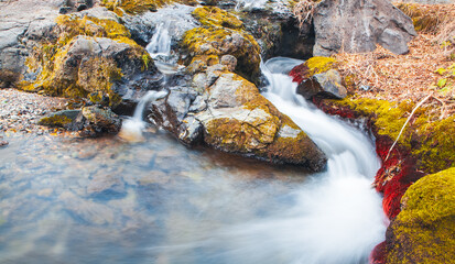 beautiful waterfall in the forest