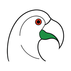 black and white parrot
