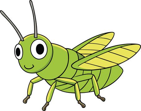 The common field grasshopper is a small, green or brown insect with long hind legs, found in fields and grasslands, known for its hopping ability and chirping sounds.
