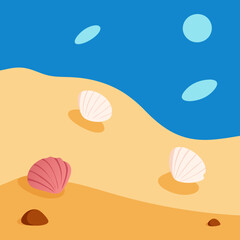 seashells on the beach