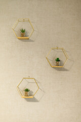 Decorative wall planters with succulents create a fresh atmosphere in a minimalist interior design...