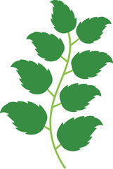 Exotic Tropical Leaves in Flat Design. Vector Illustration