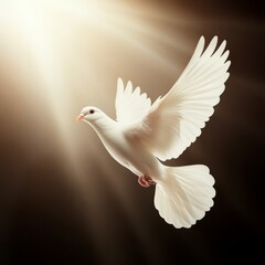 Fototapeta premium Serene White Dove Soaring in Heavenly Light