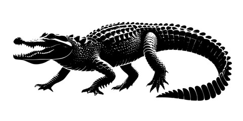 walking crocodile isolated on white