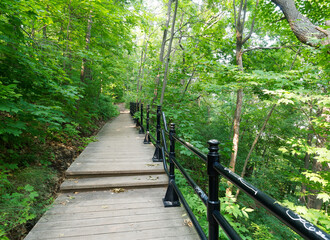 Trail on Mount-Royal, Montreal