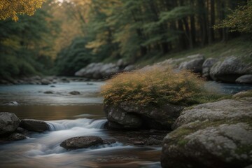 Fototapeta premium stream in the forest