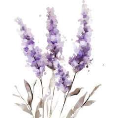 Watercolor summer flowers clipart vintage chinese flowers classic transparent artwork floral design in a bright environment