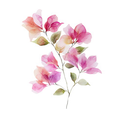 Watercolor summer flowers vintage chinese flowers clipart transparent floral art classic design for creative projects