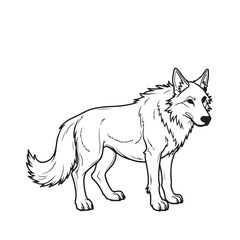 Jackal line art vector on white background