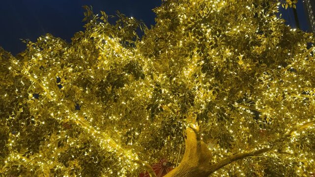 4k footage of illuminated golden tree with LED twinkle lights or icicle lights. Big tree decorated with lights to celebrate seasons greetings, holiday season of Christmas and new year. Night shot.