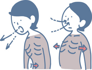 肋骨と呼吸の動き