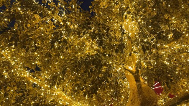 4k footage of illuminated golden tree with LED twinkle lights or icicle lights. Big tree decorated with lights to celebrate seasons greetings, holiday season of Christmas and new year. Night shot.