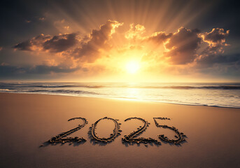 2025 새해 2025년 을사년 뱀띠 설날 해피뉴이어 텍스트 이미지