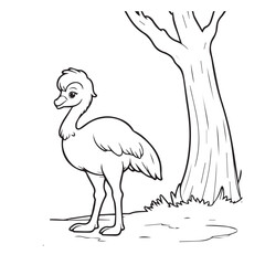 Emu  line art vector on white background