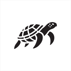 illustration of a turtle