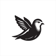dove on white