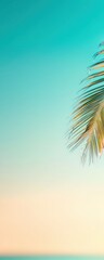 Obraz premium Relaxing palm tree view tropical beach nature scene sunny environment peaceful atmosphere