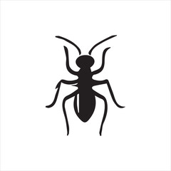 black and white beetle