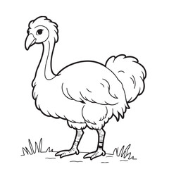 Emu  line art vector on white background