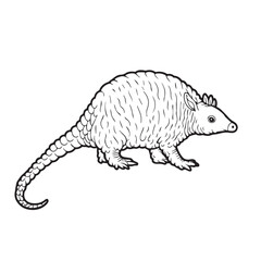 Armadillo  line art vector on white background