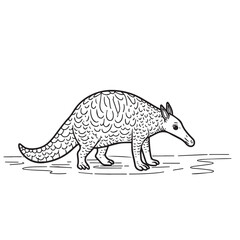 Armadillo  line art vector on white background