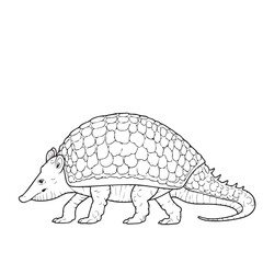 Fototapeta premium Armadillo line art vector on white background