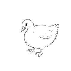 Goose  line art vector on white backgroun