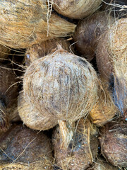 coconut whose outer shell has been cut