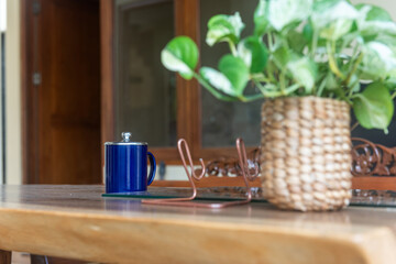 Coffee in blue mug with green decorative houseplant on wooden table