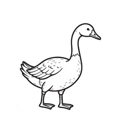 Goose  line art vector on white backgroun