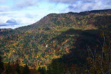 Obraz premium 紅葉に囲まれた山