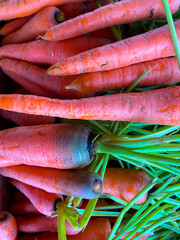 Carrots are root vegetables that are rich in nutrients and have many health benefits.