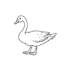 Goose  line art vector on white backgroun