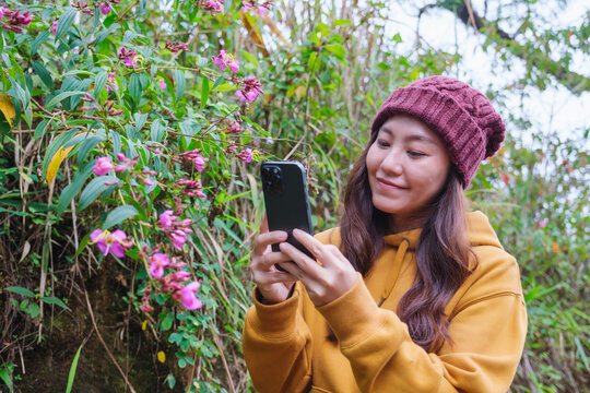 A woman taking photos of wild flowers with smartphone in the forest