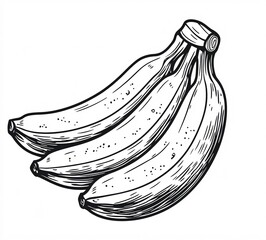 sketch of bananas