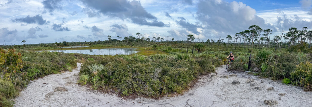 Camp Murphy MBT (Mountain Bike Trail) at Jonathan Dickinson State Park, Florida