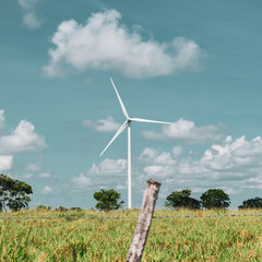 Fototapeta premium Eolic energy tower in a field surrounded by plants on blue sky