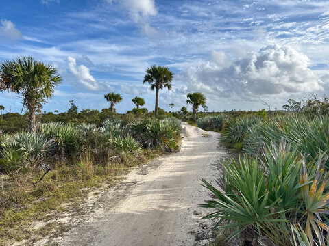 Camp Murphy MBT (Mountain Bike Trail) at Jonathan Dickinson State Park, Florida
