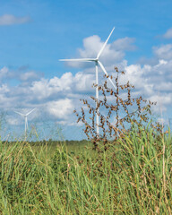 Eolic energy tower in a field surrounded by plants on blue sky