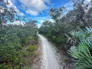 Camp Murphy MBT (Mountain Bike Trail) at Jonathan Dickinson State Park, Florida