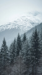 Fototapeta premium Winter landscape with snow-covered mountains and evergreen trees in a foggy atmosphere