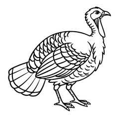 "Detailed illustration of a turkey hen showcasing soft feathers, subtle earth-tone colors, and natural posture. 