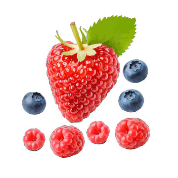 berries isolated