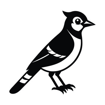 recommend clip art: Blue Jay Bird Vector Silhouette